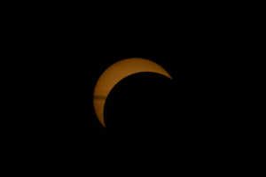 4J4A1359
