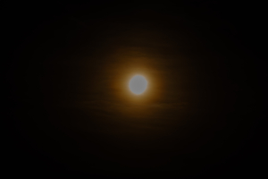 4J4A1240