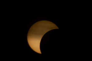 4J4A1287